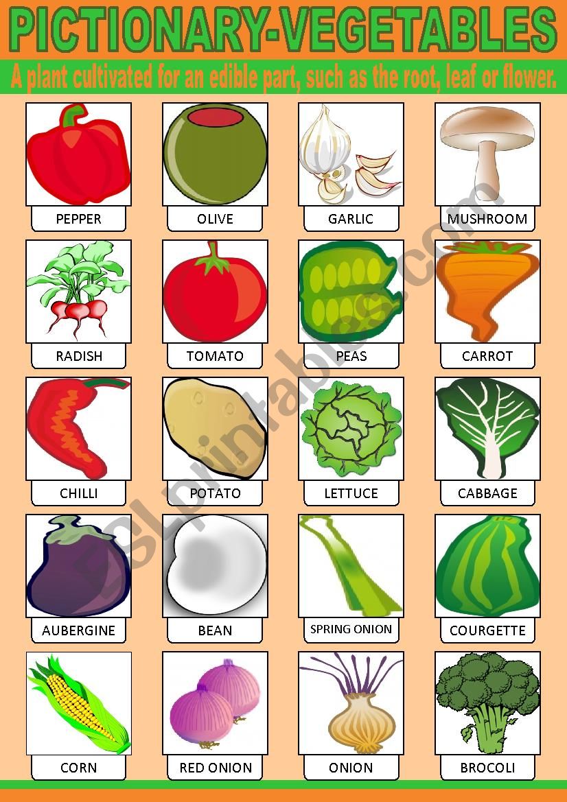 Vegetables Pictionary worksheet