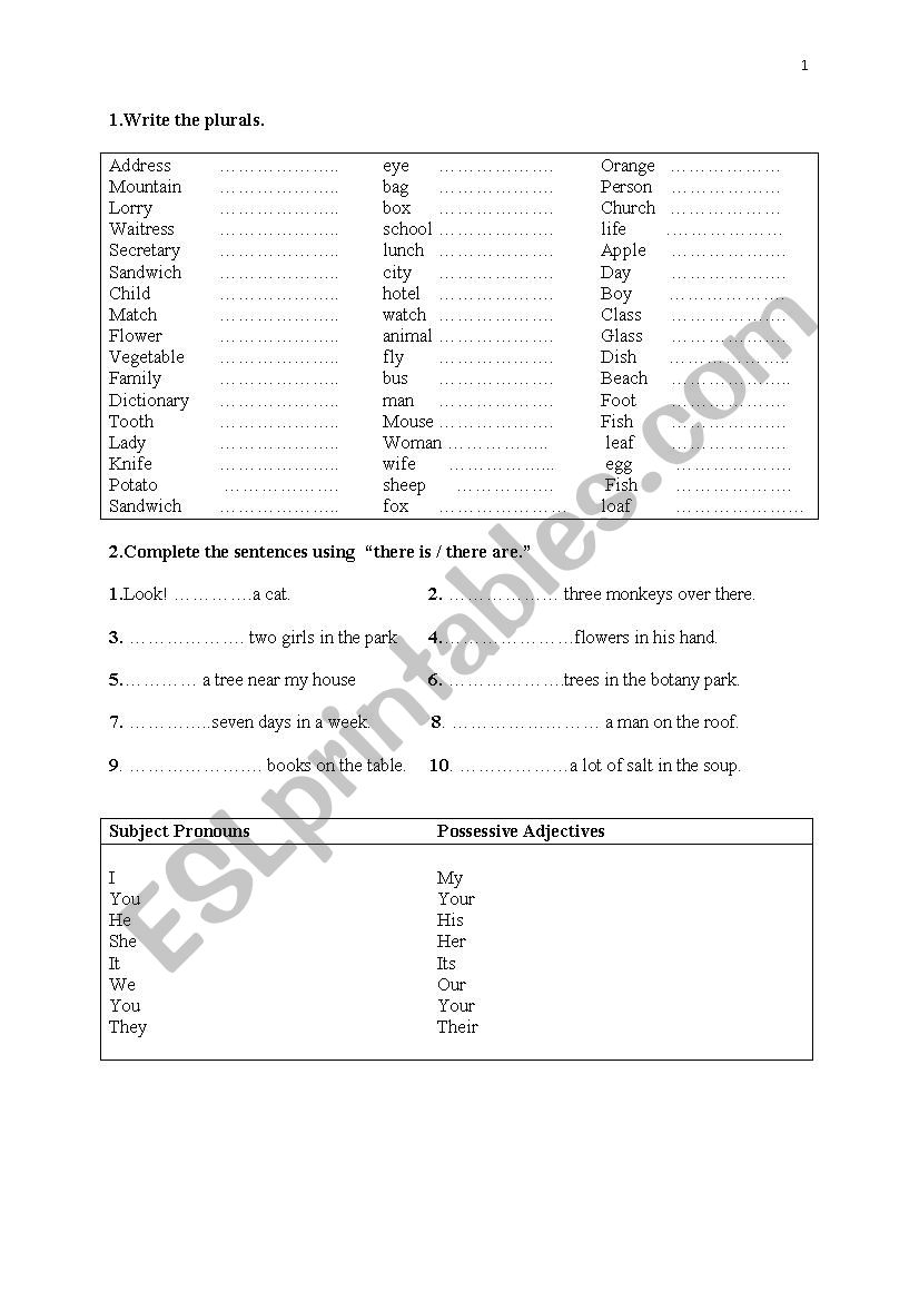plural forms of words worksheet