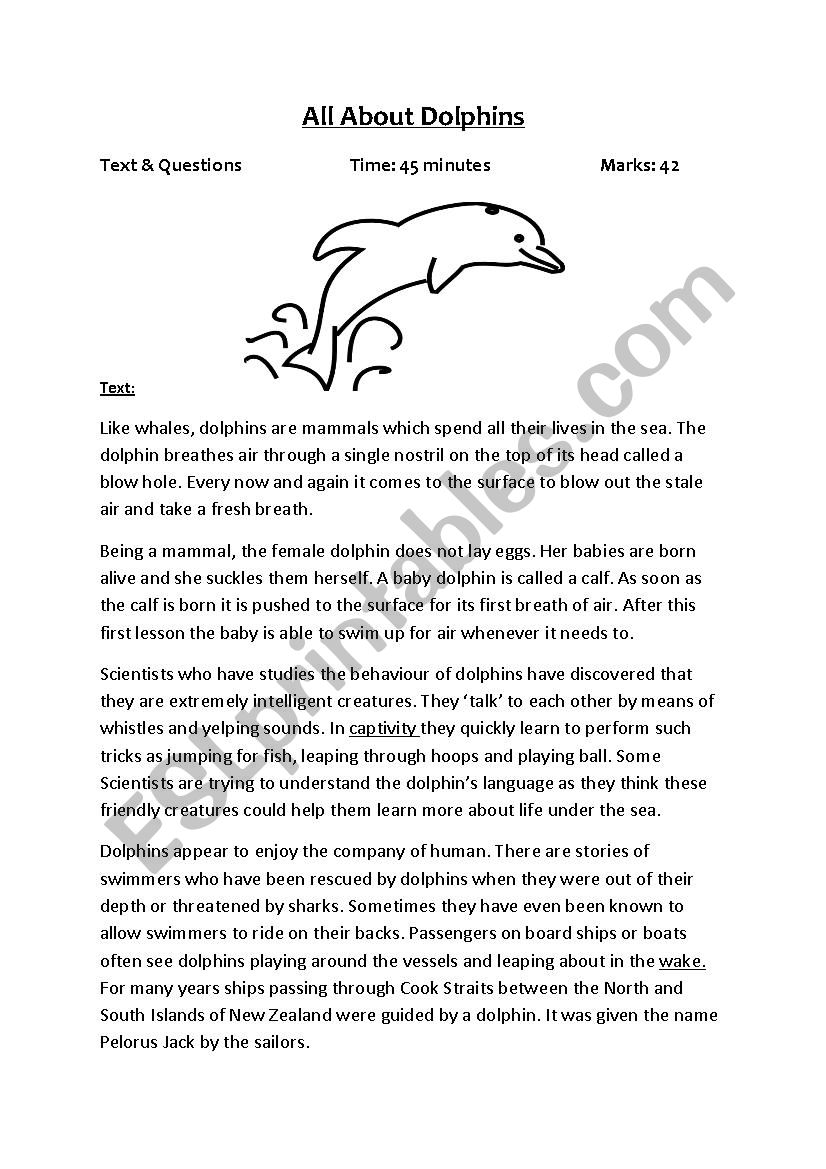 Dolphins worksheet