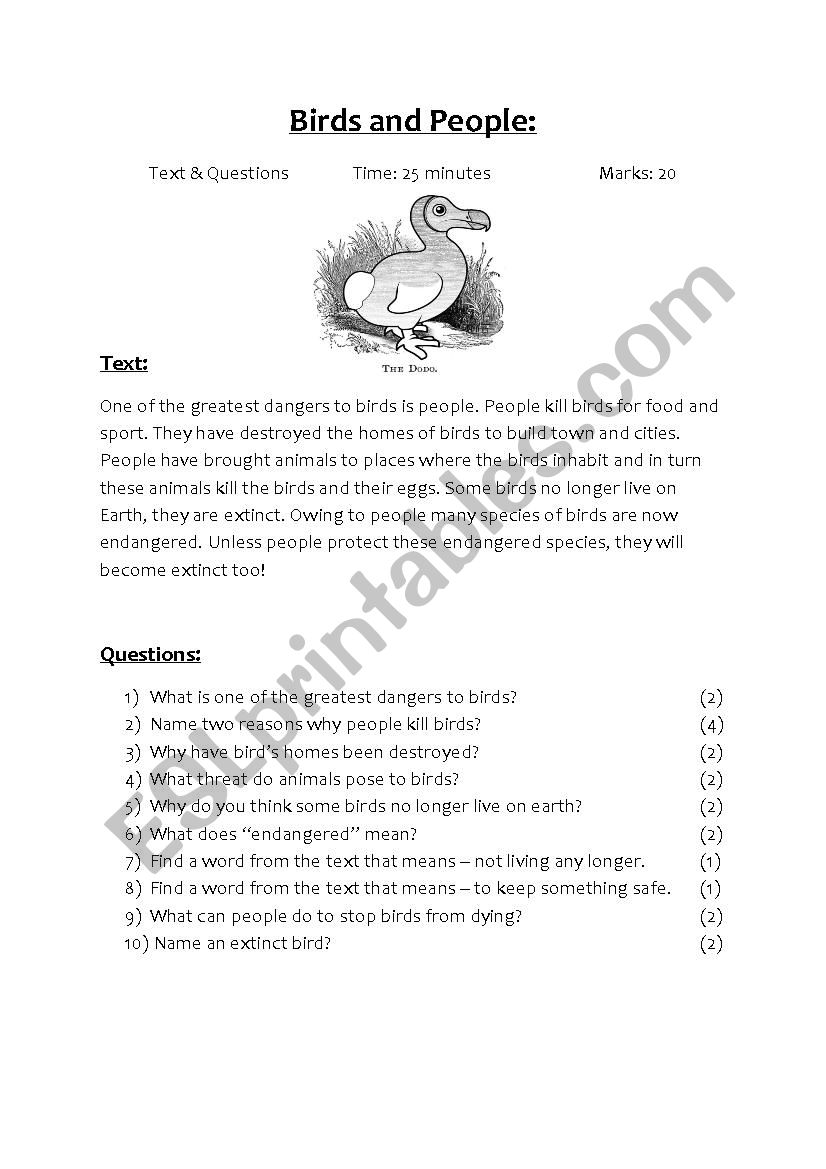 Birds & People worksheet