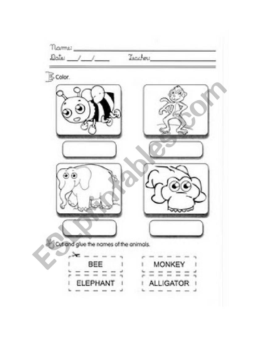 animals  worksheet