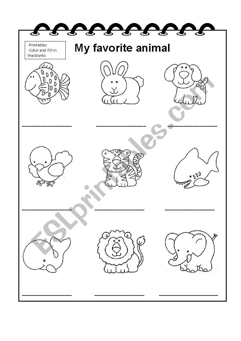 My favorite animals worksheet