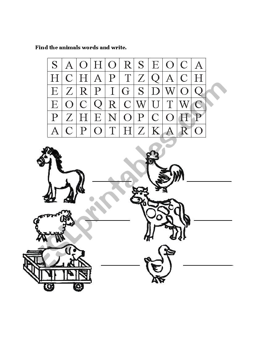 animals worksheet