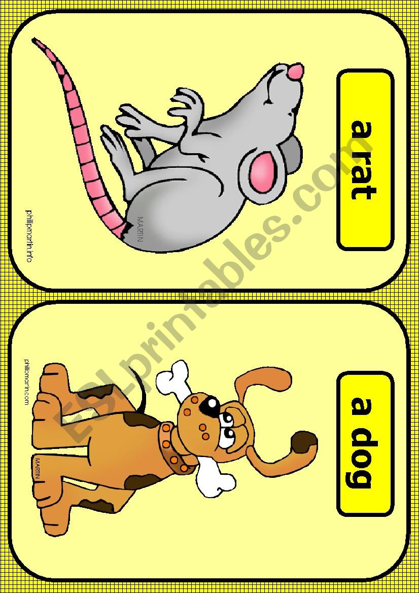 Farm animals flashcards PART 3