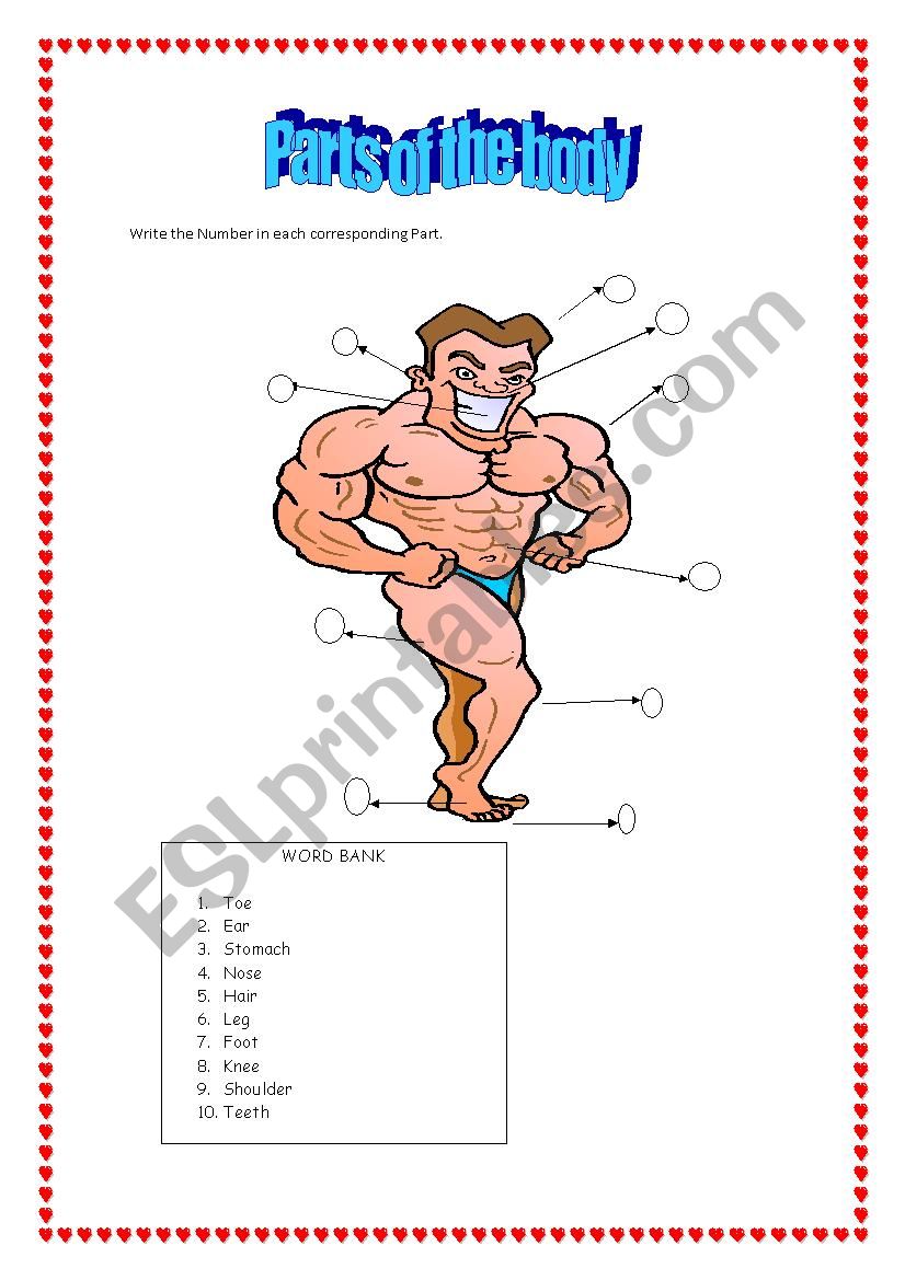 Parts Of the Body 2 worksheet