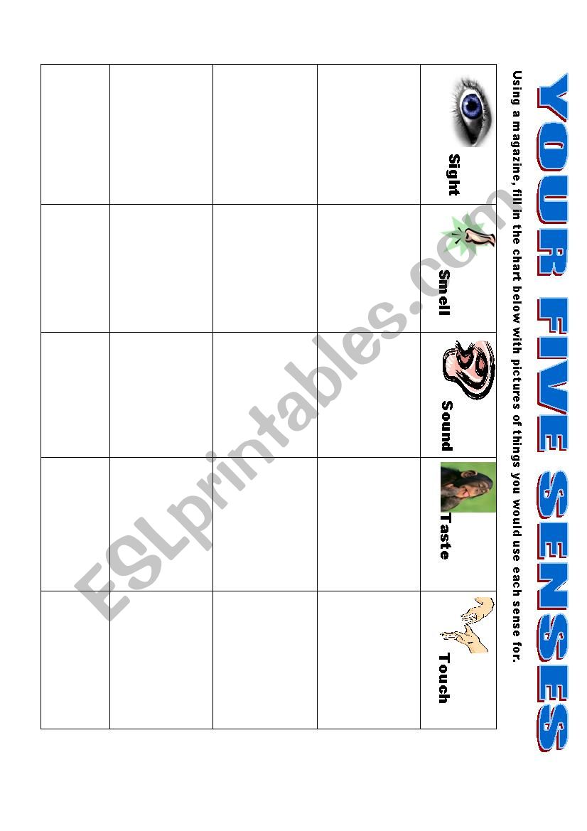 Five Senses Chart Worksheet