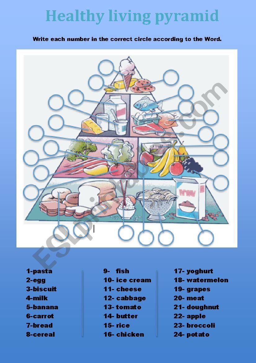 healthy living pyramid worksheet