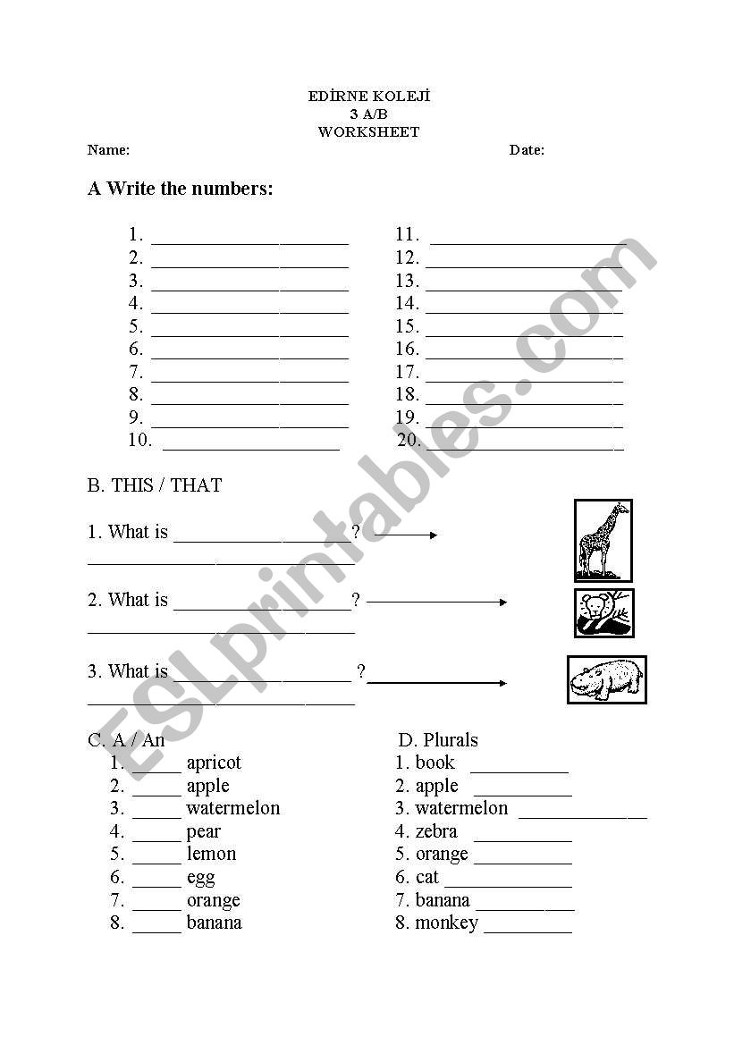 this that, numbers worksheet