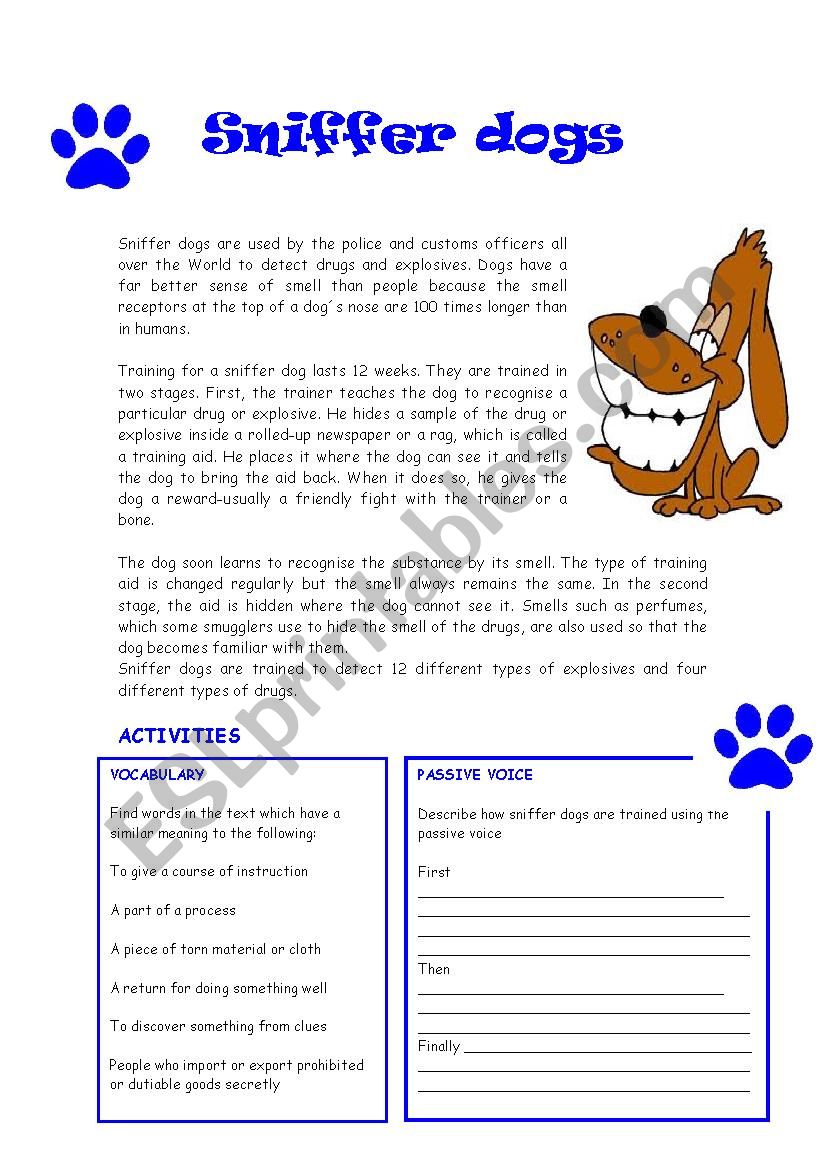 Reading : Sniffer dogs worksheet