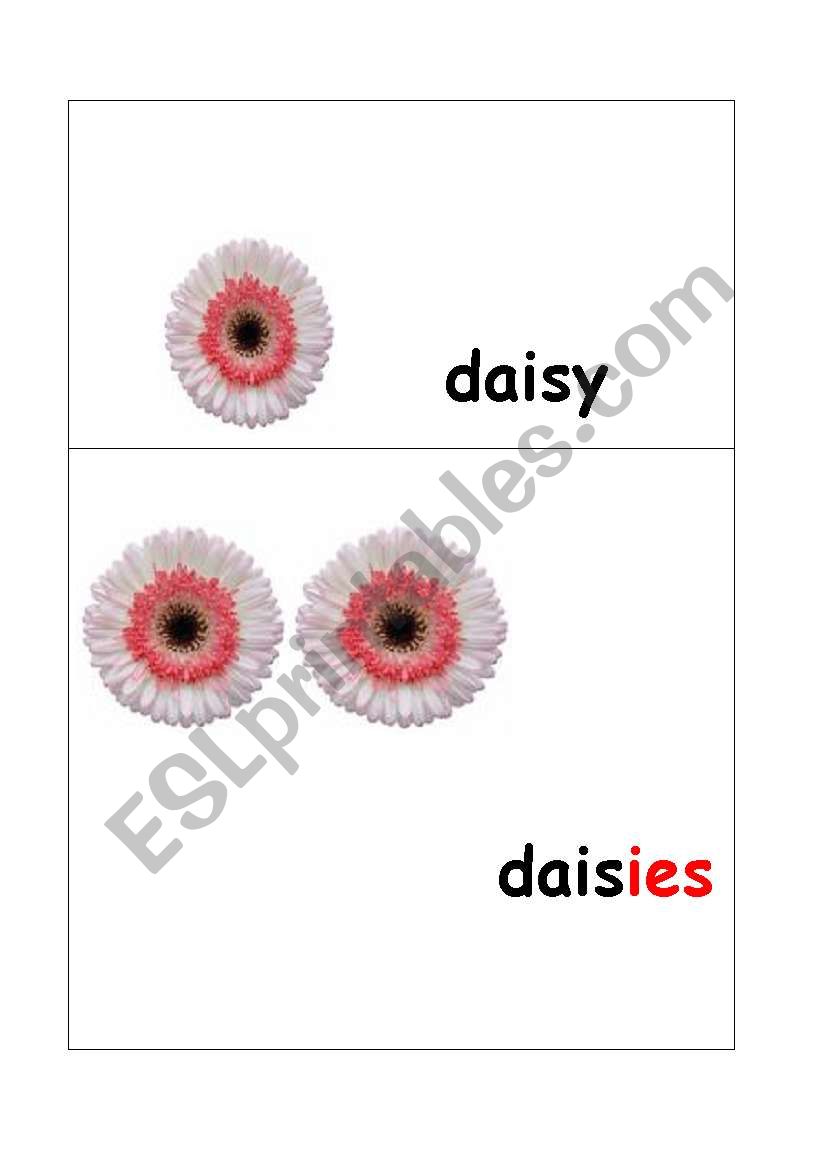 daisy worksheet