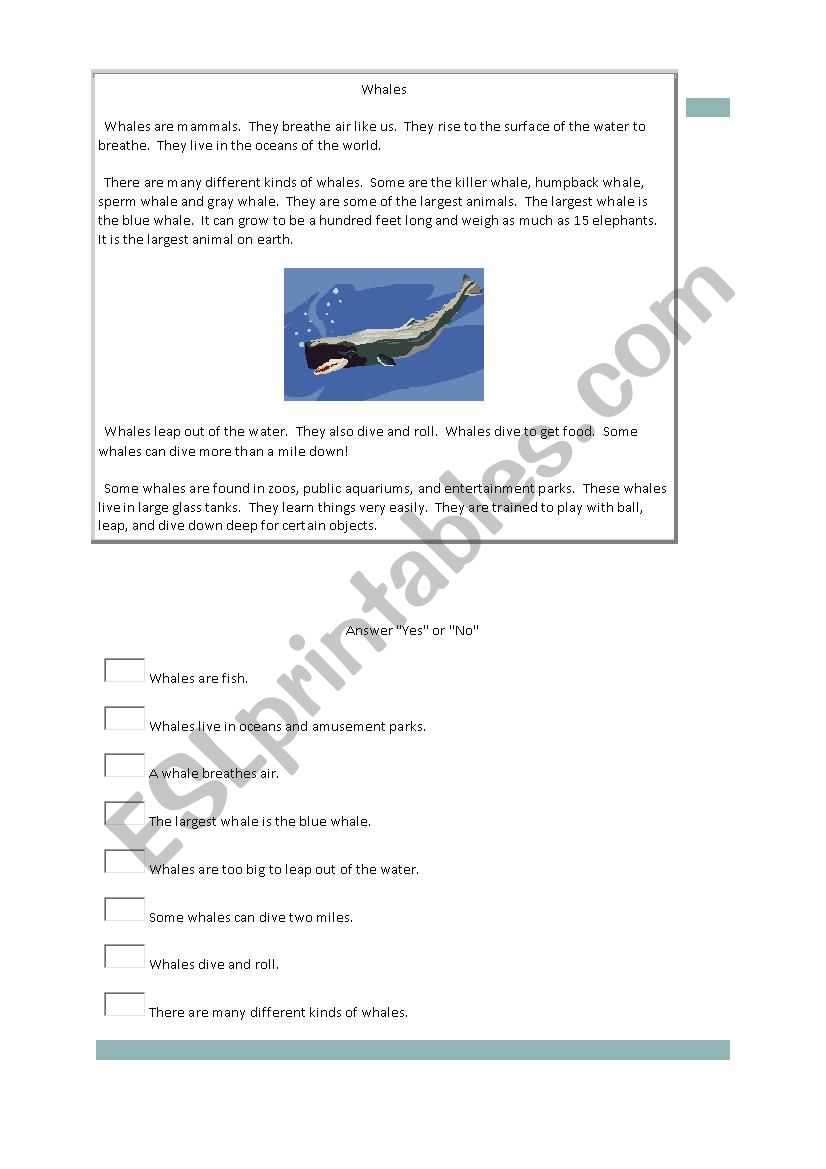 Whales  worksheet