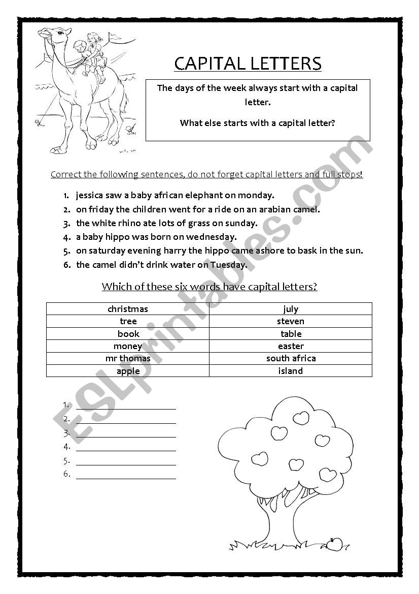 Capital Letters worksheet