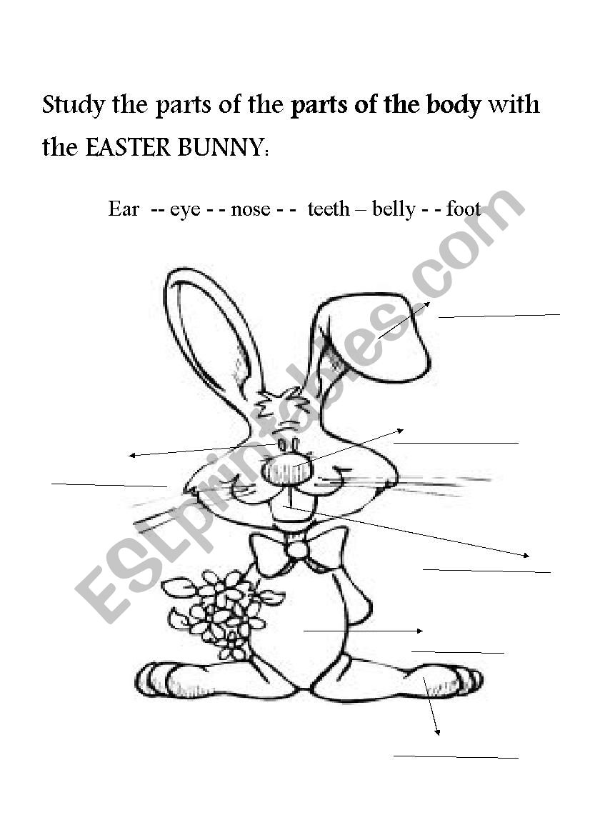Easter Bunny and the parts of the body