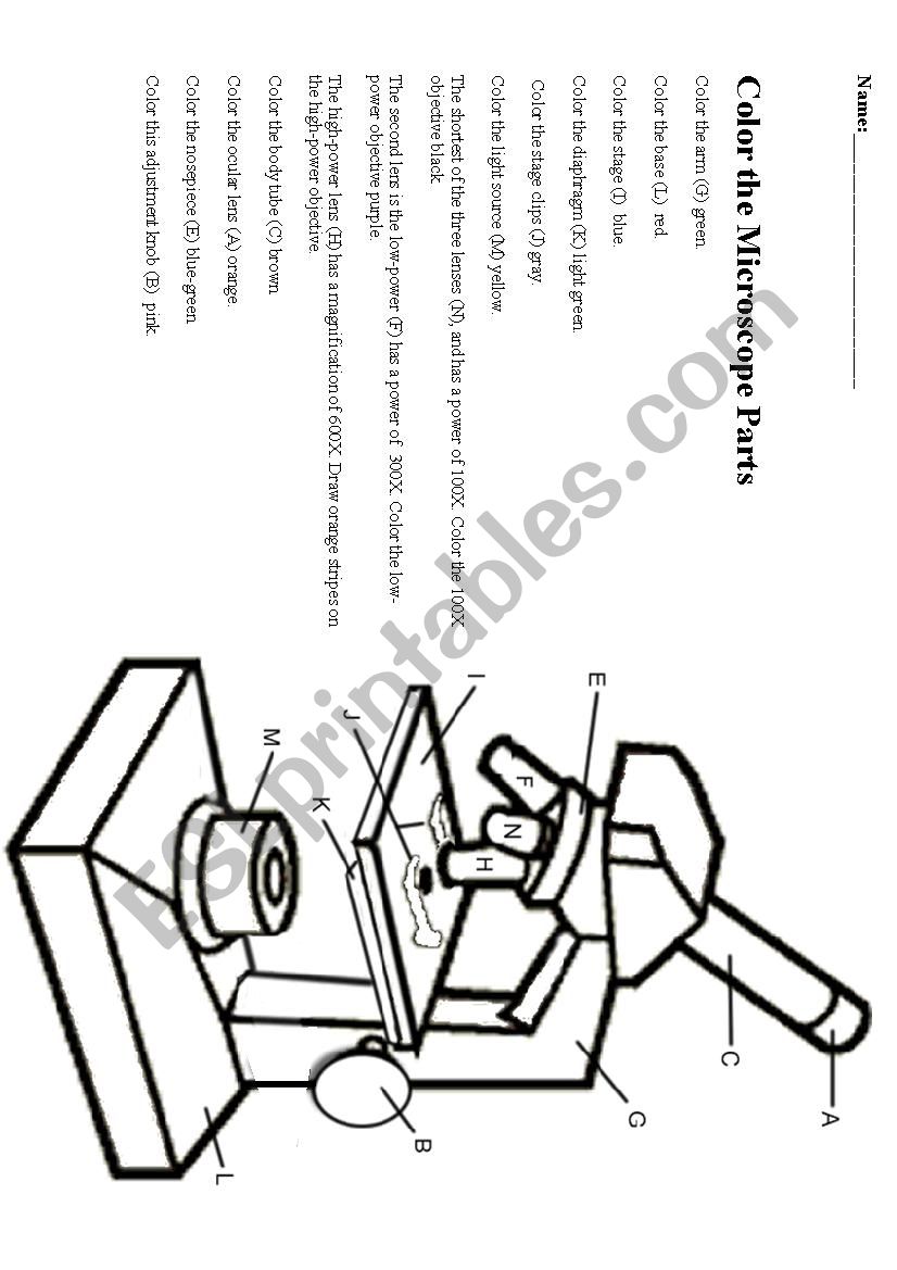 Parts of the Microscope worksheet