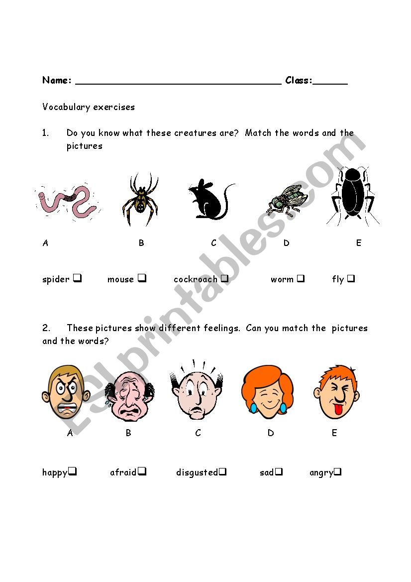 Vocabulary exercises worksheet