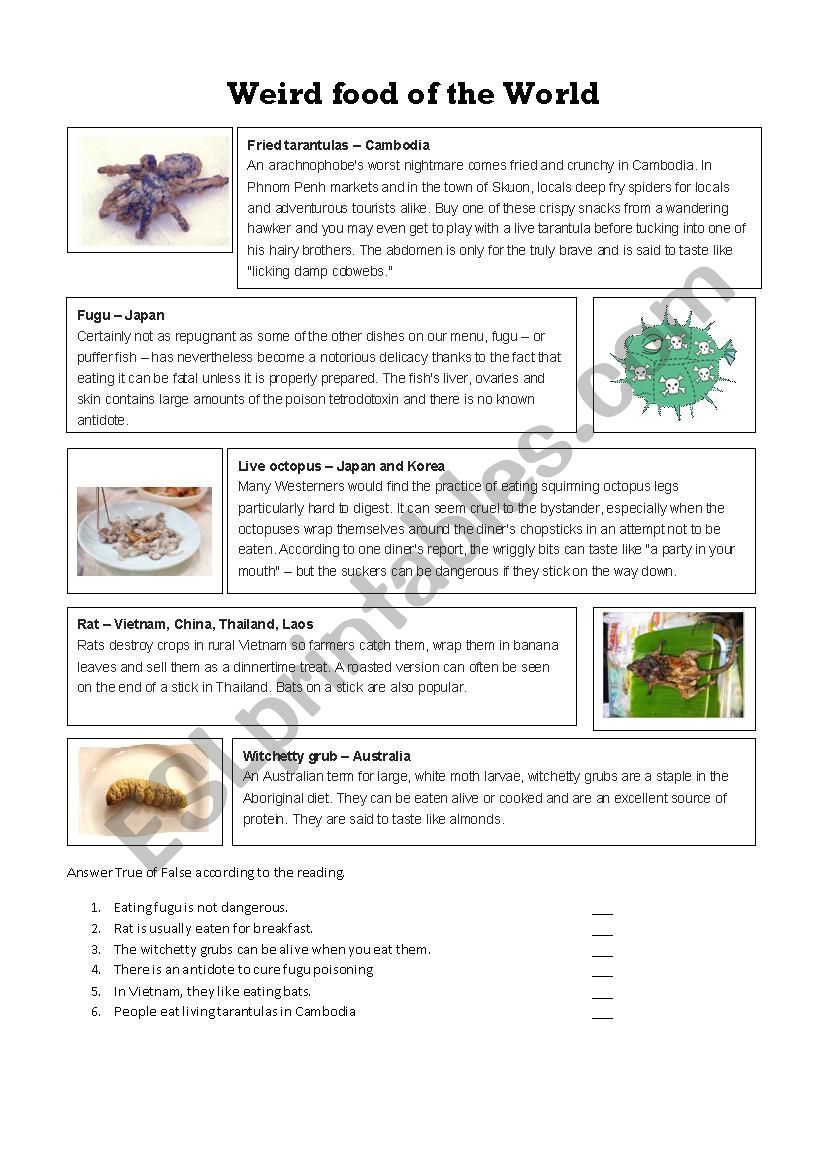 Weird food of the world worksheet