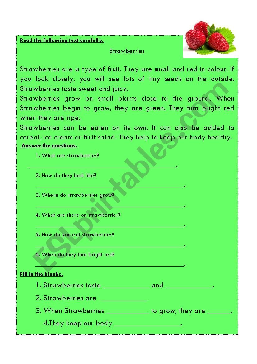 Reading Comprehension worksheet