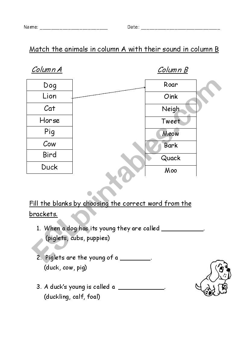 Animal Homes, Sounds and Young - ESL worksheet by jcar0045