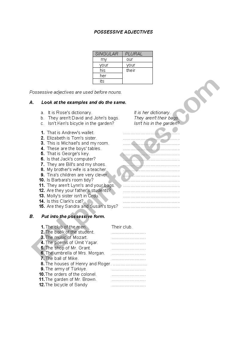 possessive adjectives worksheet