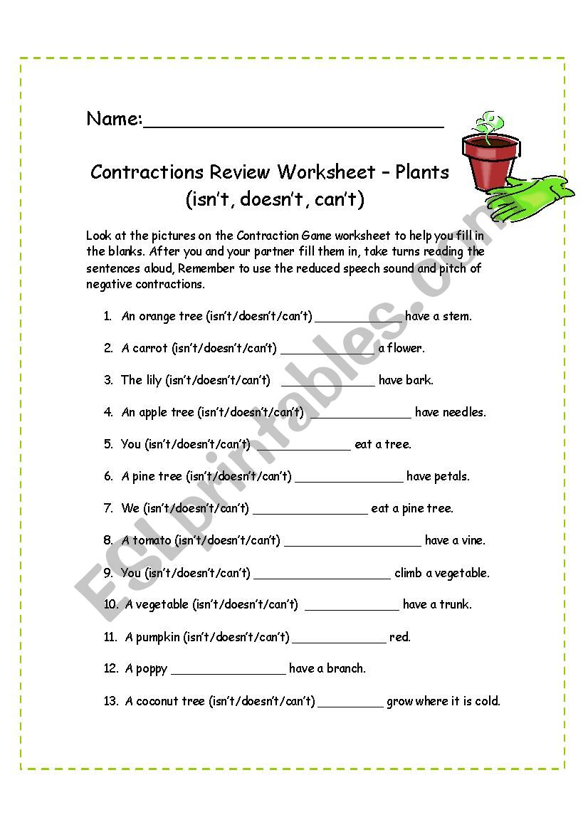 Contractions Worksheet - Plants