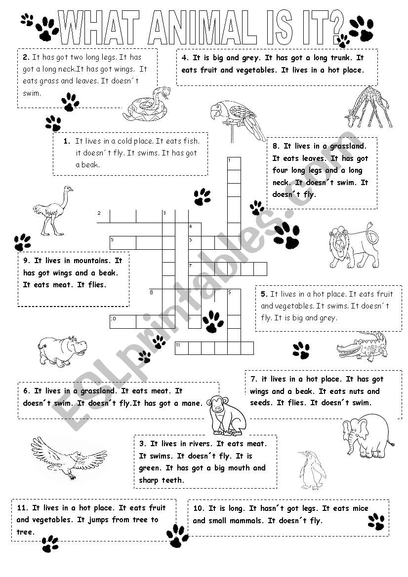 animal crossword worksheet