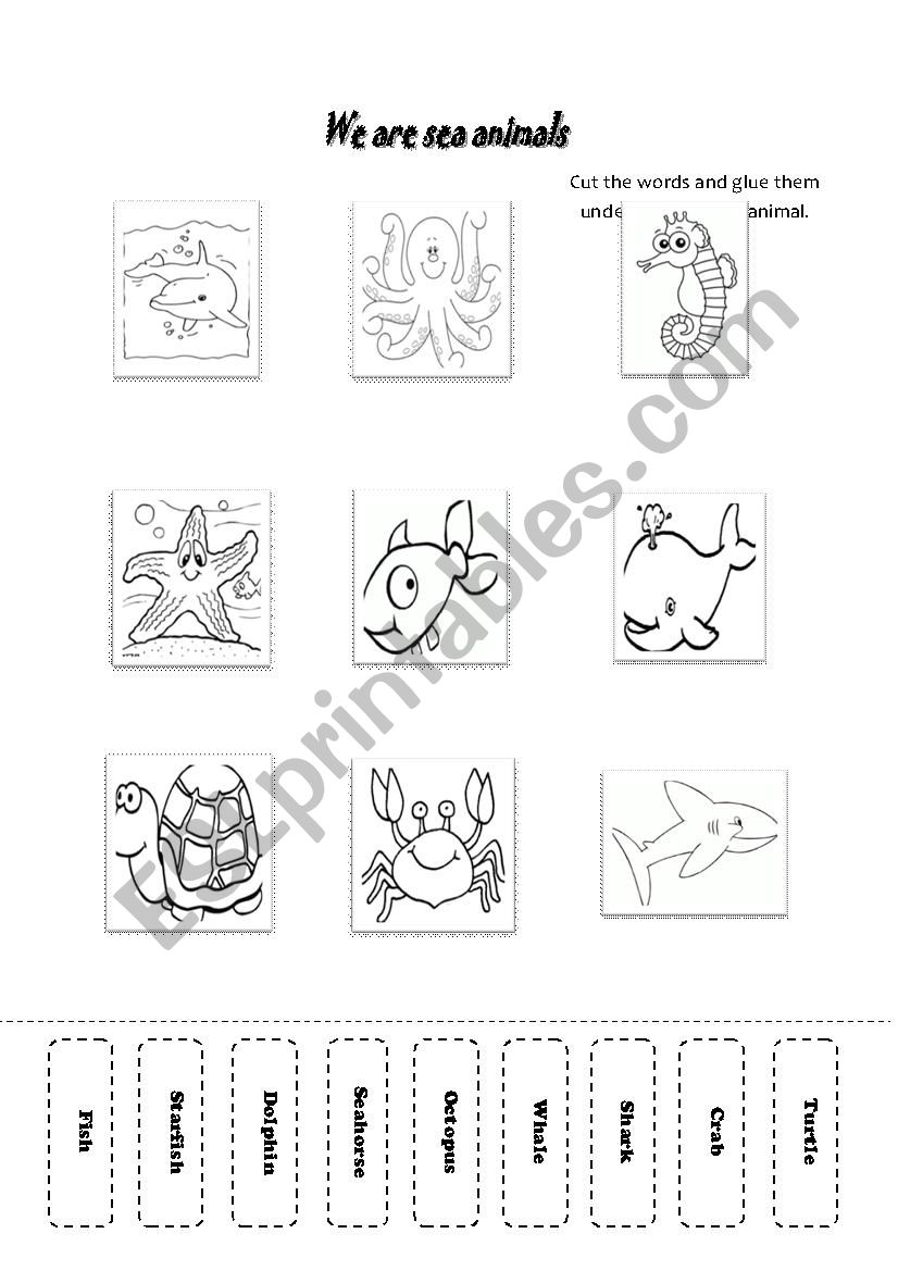 Sea animals worksheet