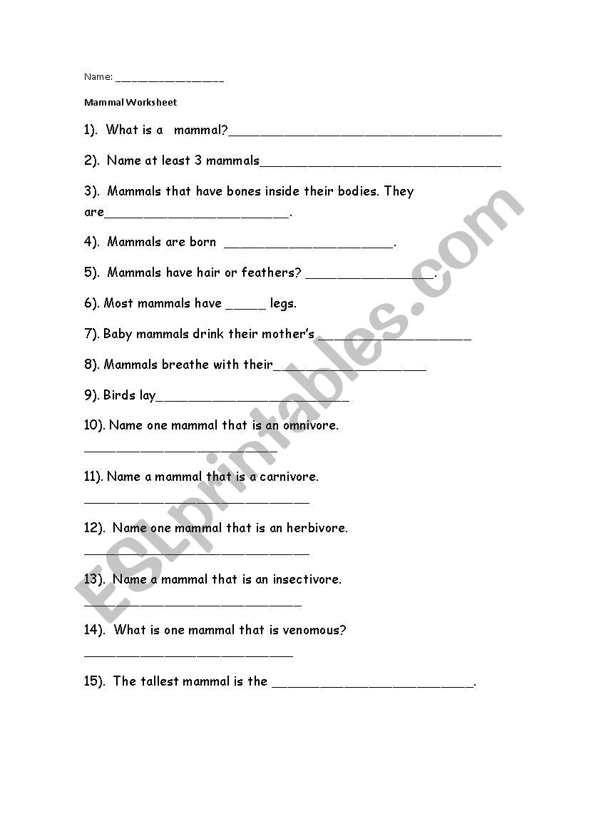 Mammals worksheet