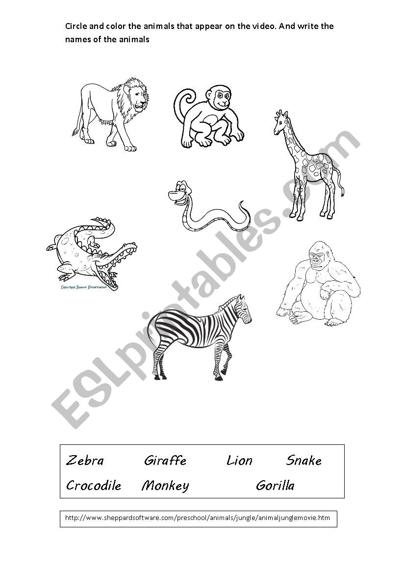 Jungle animals worksheet