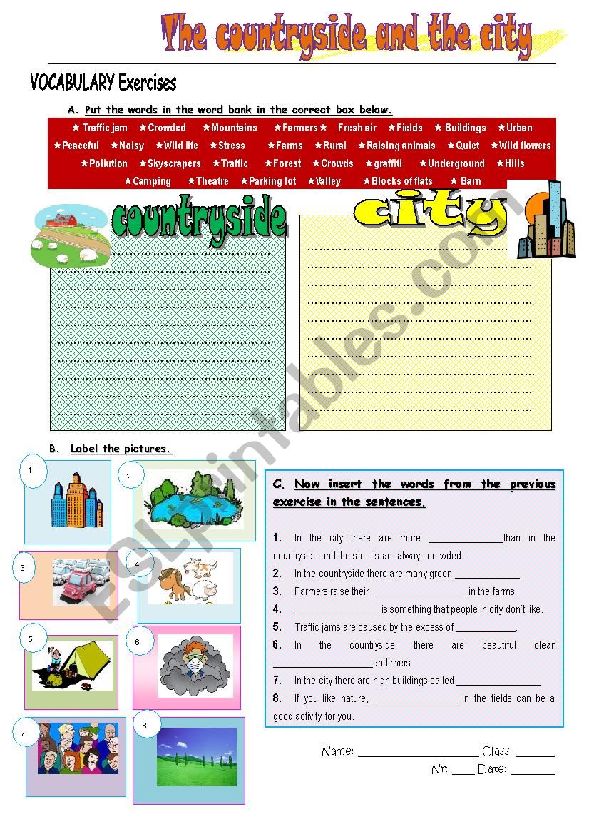 vocabulary exercise worksheet