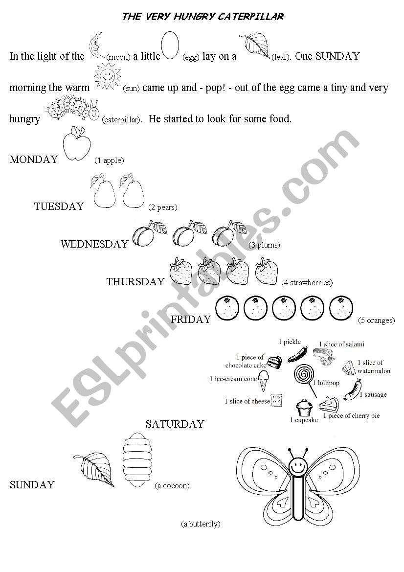 The very hungry carterpillar worksheet