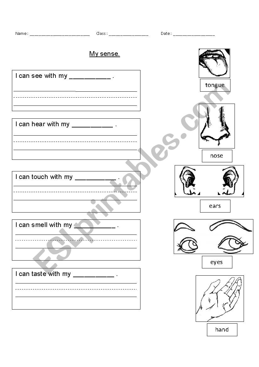 My sense worksheet