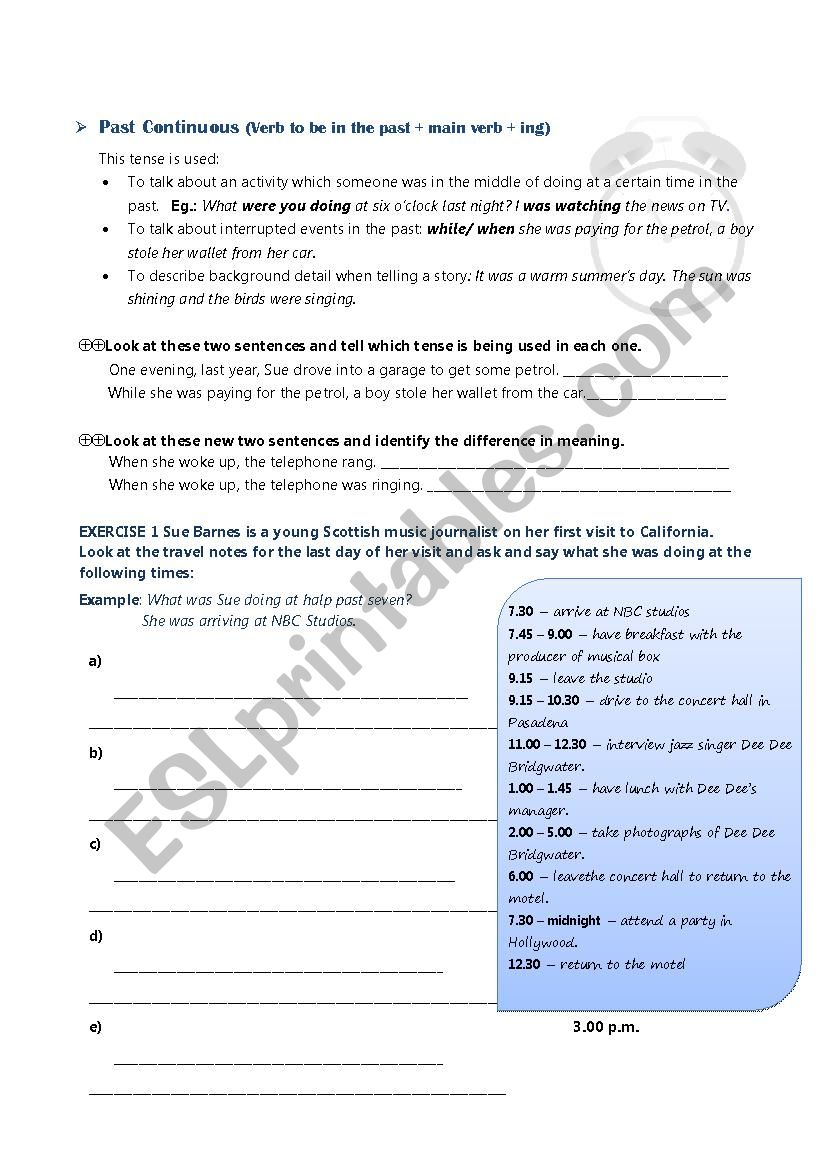 Past Continuous & Simple worksheet