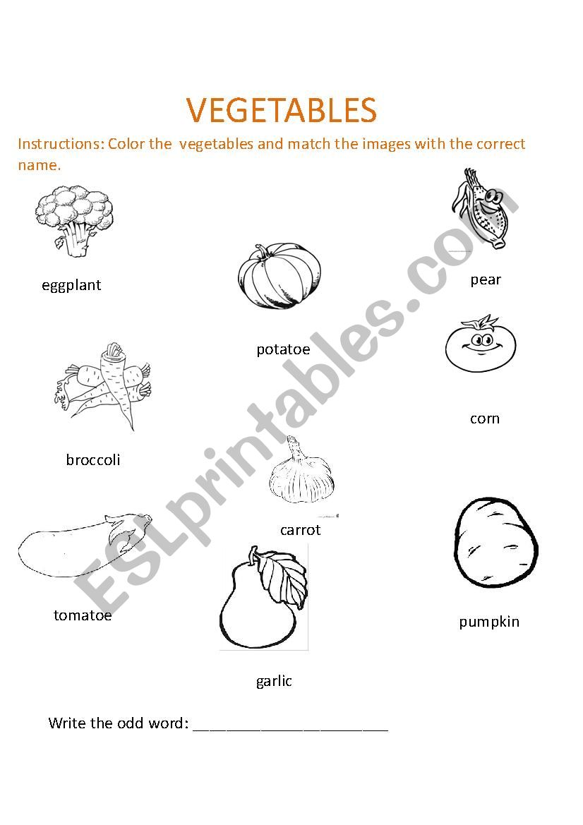 VEGETABLES worksheet