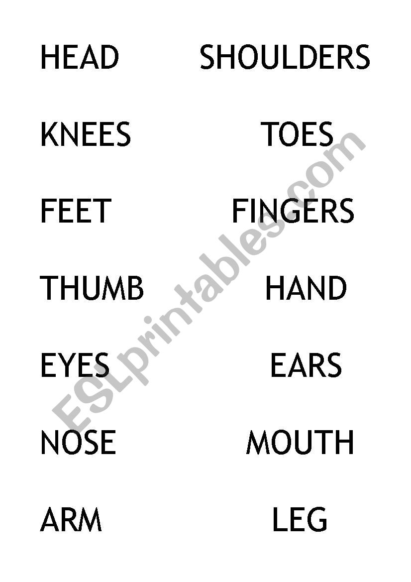 BODY PARTS worksheet