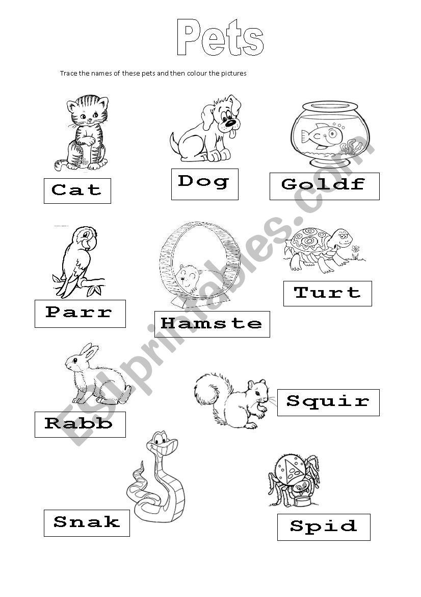 Pets worksheet