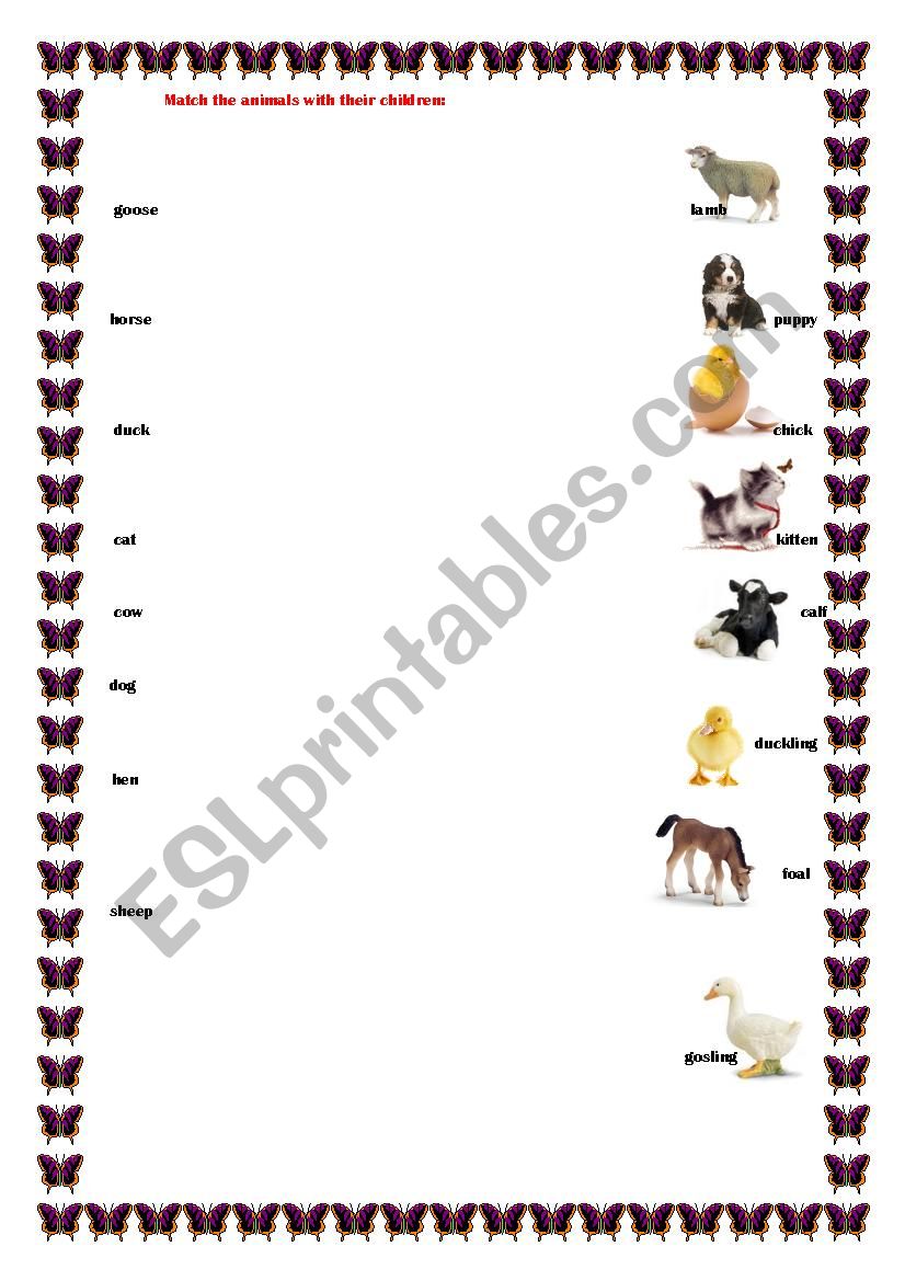 Animals and their children worksheet