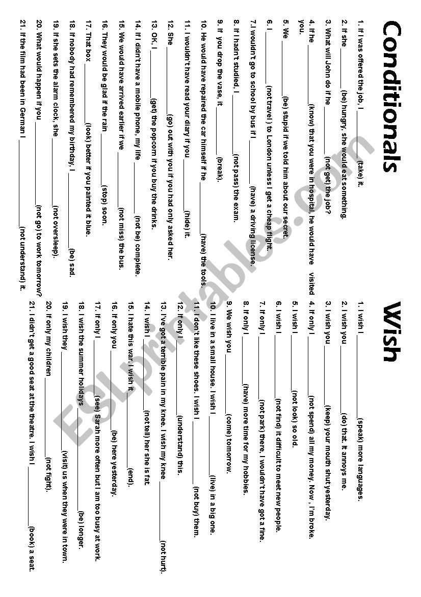 CONDITIONALS AND WISH worksheet