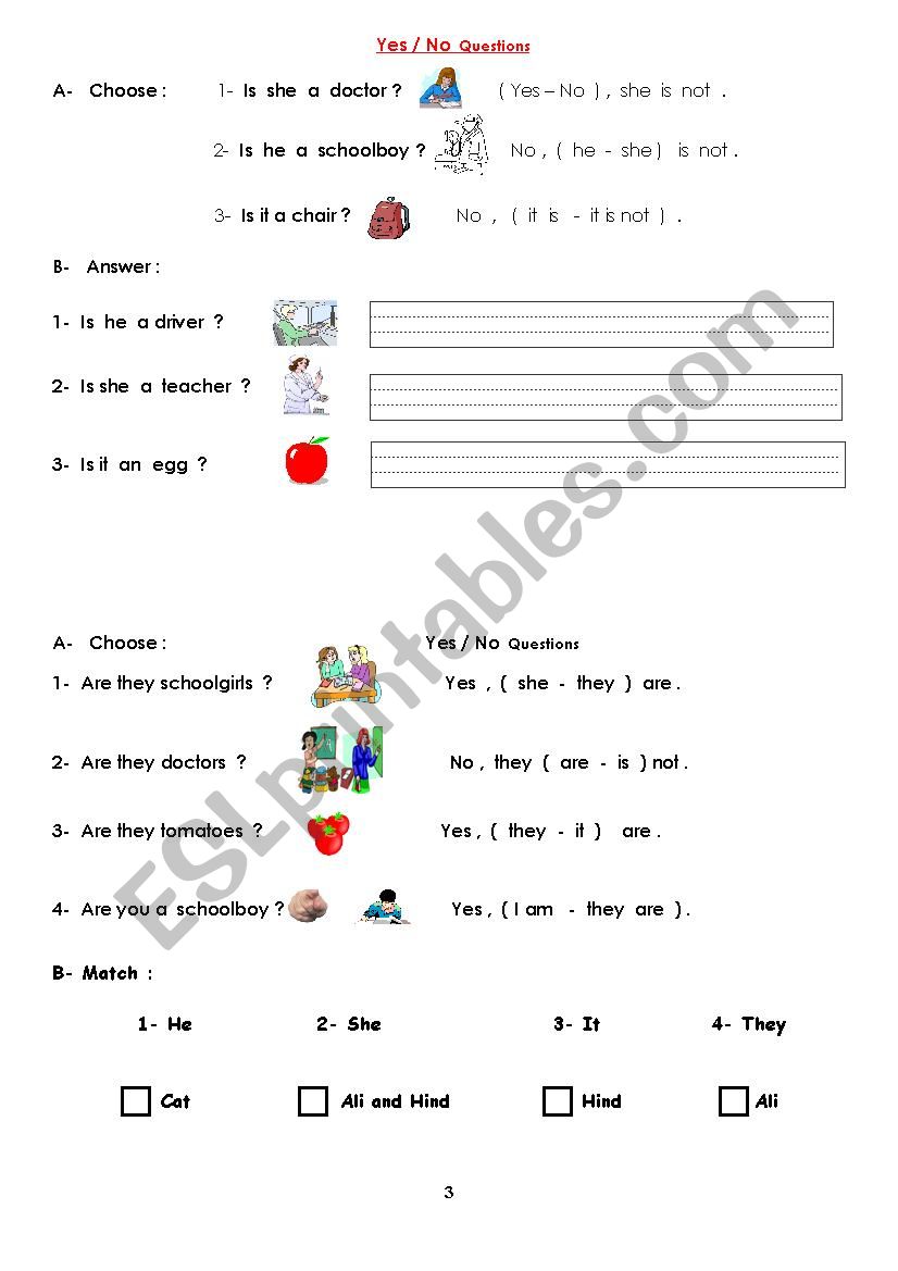 yes / no question worksheet