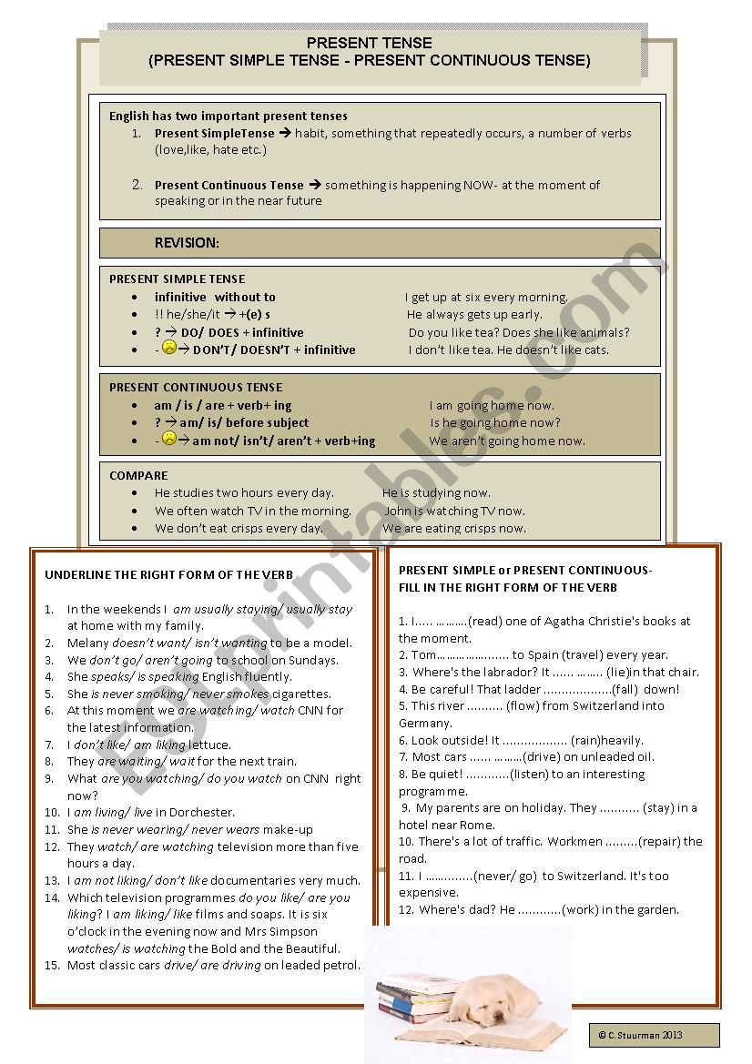 Present Continuous and Present Simple Tense