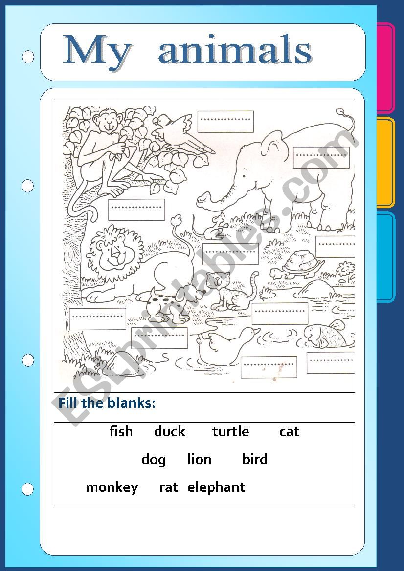 My animals worksheet