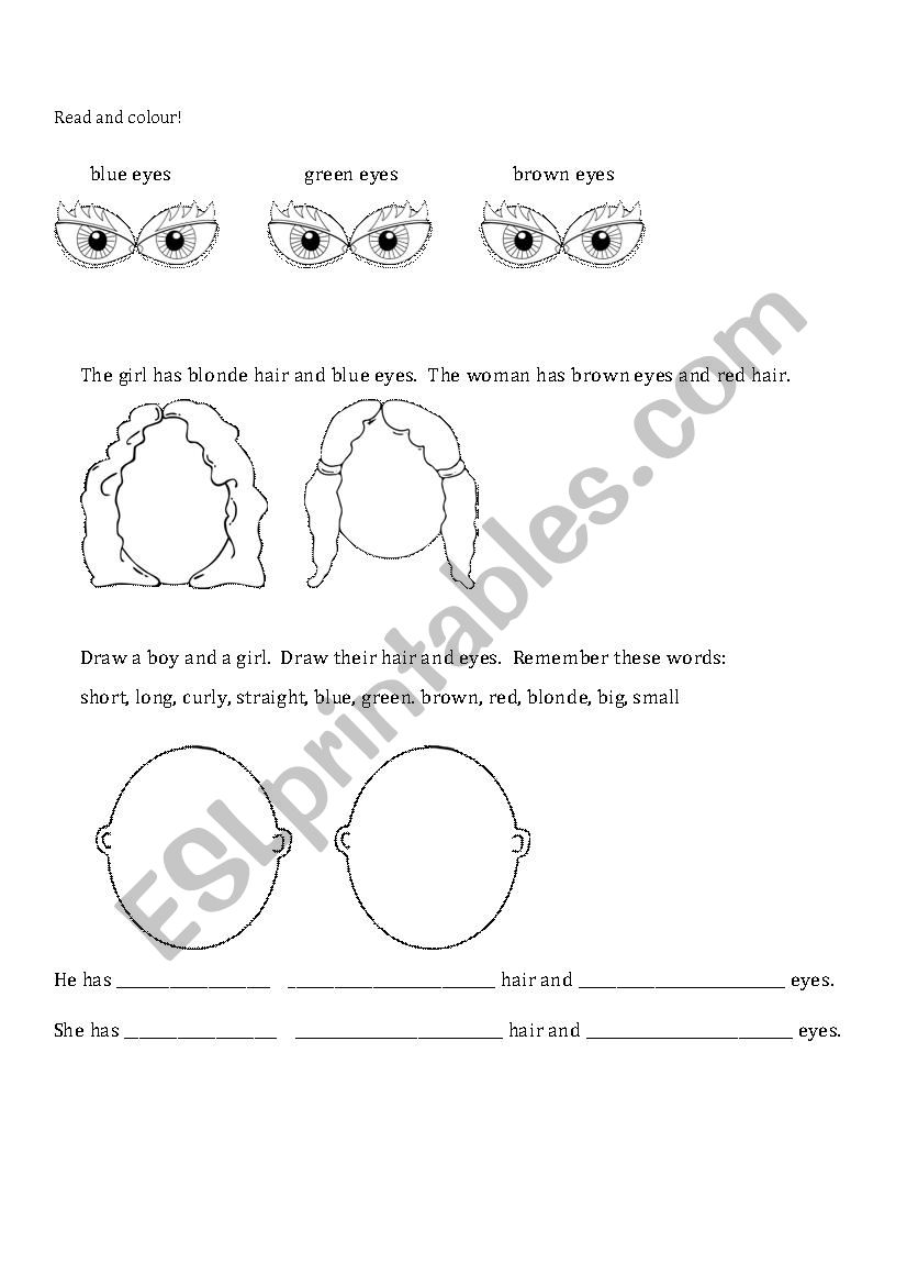 Read, Colour, and Draw! worksheet