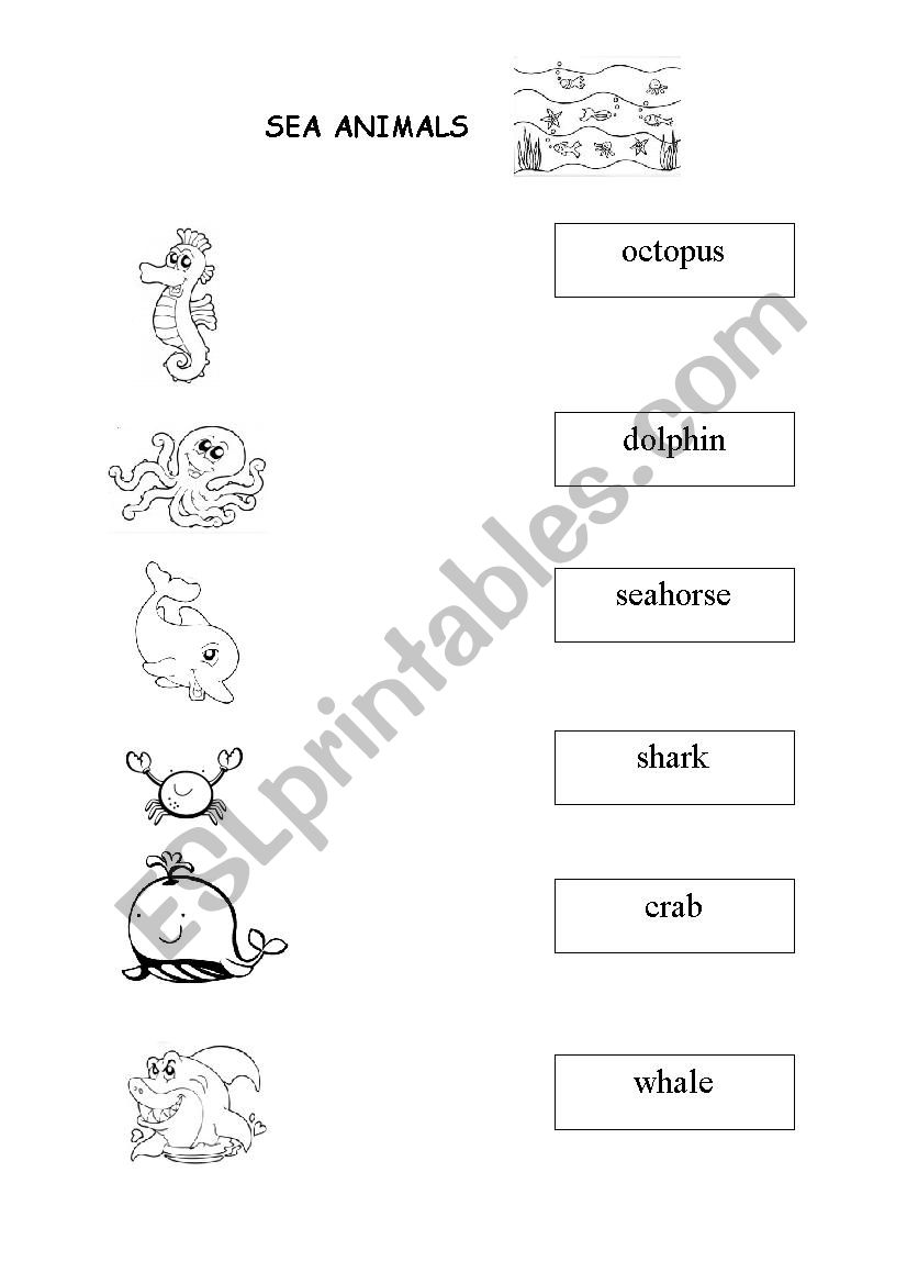 sea animals worksheet