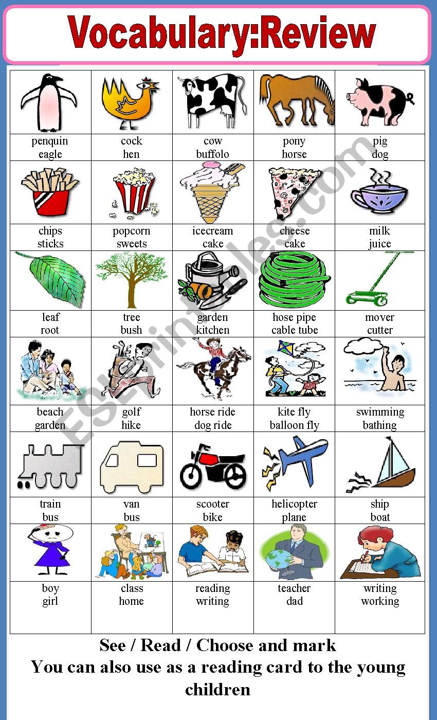 Vocabulary  worksheet