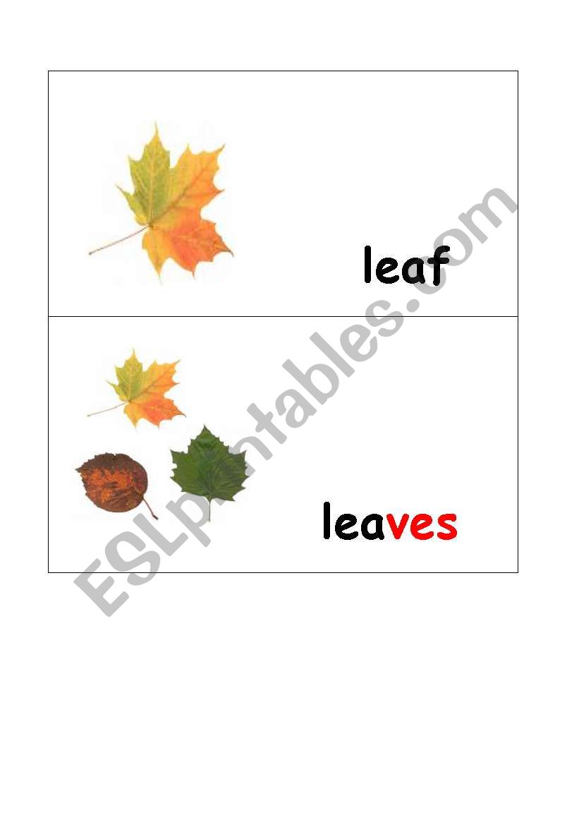 leaf-leaves worksheet