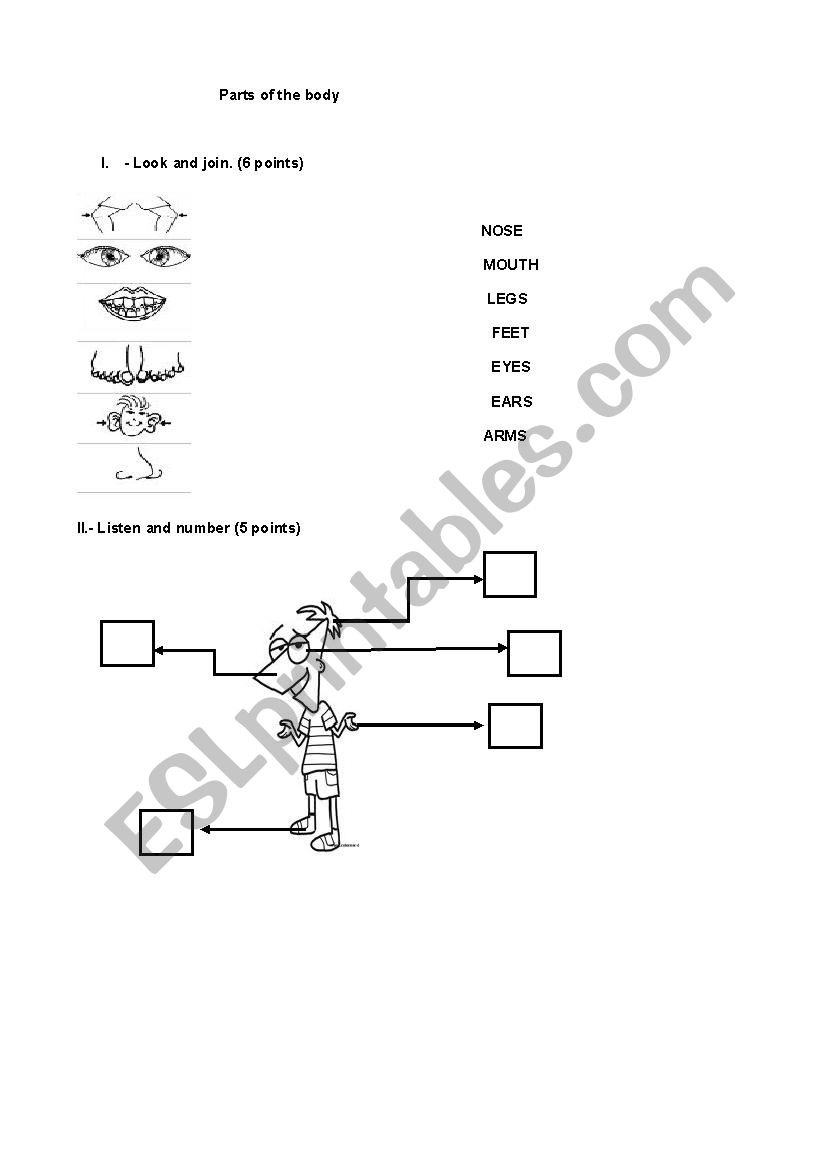 BODY PARTS worksheet