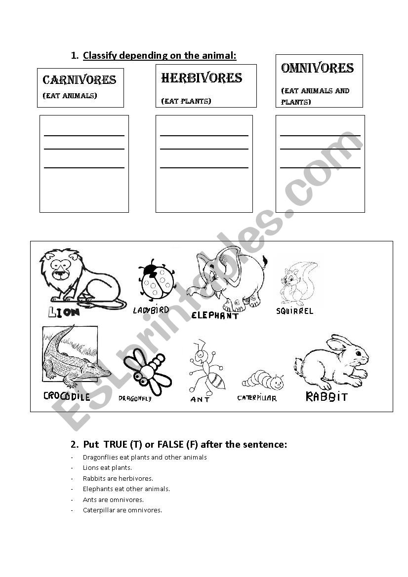 Type of animal/insect worksheet