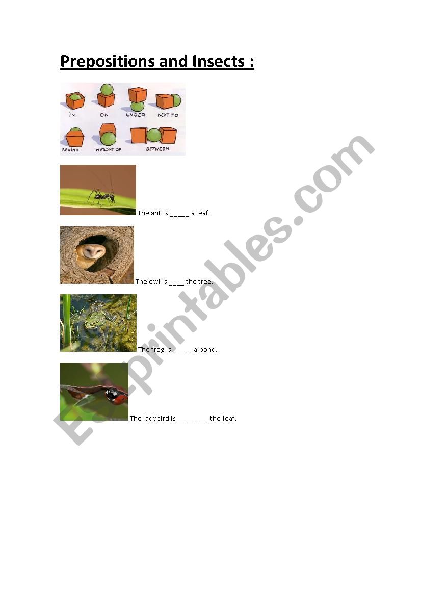 Prepositions and insects worksheet