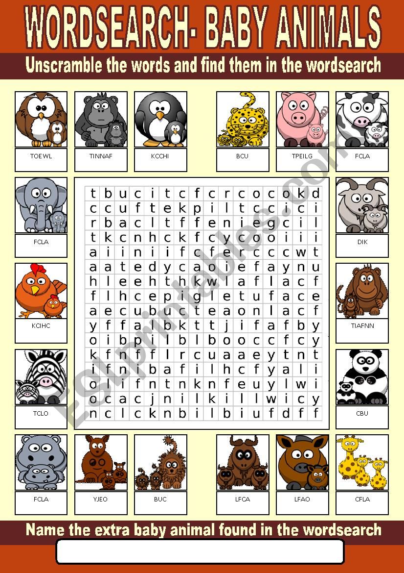 Baby Animals Wordsearch worksheet