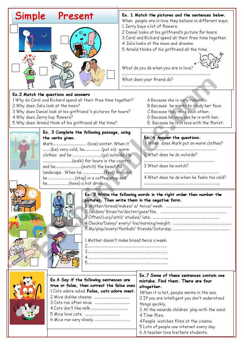 Exercises on  present simple worksheet