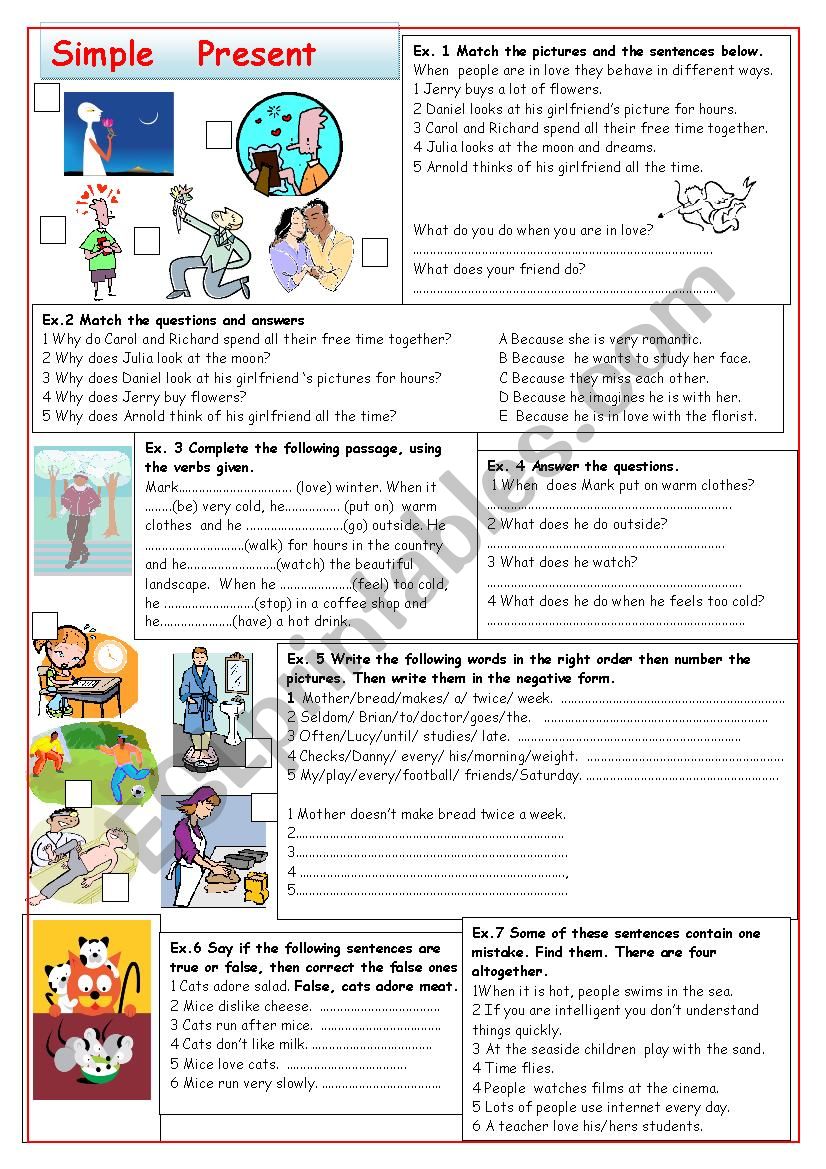 Exercises on  present simple worksheet